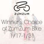 ZumZum-Bike-Giveaway