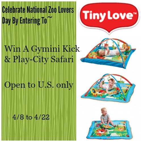 Gymini Kick & Play-City Safari Giveaway