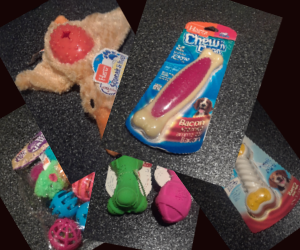 Hartz Cat And Dog Toys #Review #HGG18 @HartzPets