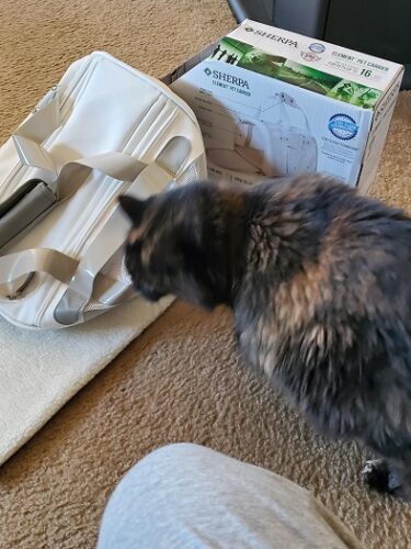 Sherpa Travel Wipe Clean Technology Airline Approved Pet Carrier #Review #HGG20