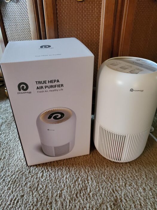 Dreamegg True HEPA Air Purifier Review Tammie's Take